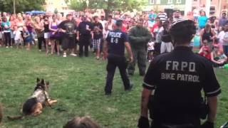 K-9 Protects Police Officer Watch The Dogs Reaction