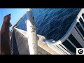 Landing MONSTER Barracuda ALONE, Upper Keys Bridge Fishing!