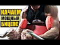 Как накачать большой бицепс | Лучшие упражнения для бицепса