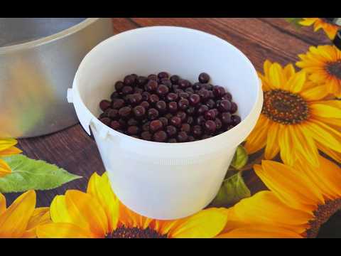 Video iz Bosne ❤️ Ponovo smo brali višnje i pravimo sok.Iskoristavamo zadnji dan boravka u Bosni 😀