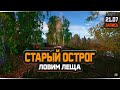 Лещ на Старом Остроге. Спорное место... — Русская Рыбалка 4