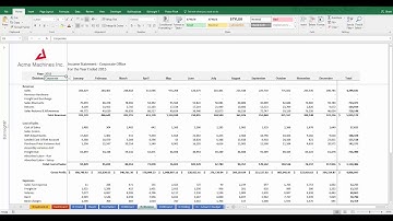 Build Division Based Income Statements with Excel Filters | BizNet Software