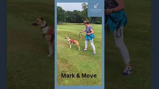 Mark and Move by Victoria Cooper 23 views 7 months ago 2 minutes, 42 seconds