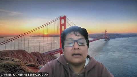 🔴 (AC-S13) Week 13 - Task: Assignment - My work experience - TA3