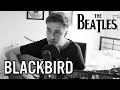 Blackbird - The Beatles (Cover)