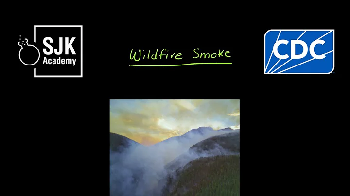 Wildfire smoke and asthma emergencies: student-friendly research from the CDC