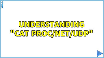 Understanding "cat proc/net/udp"