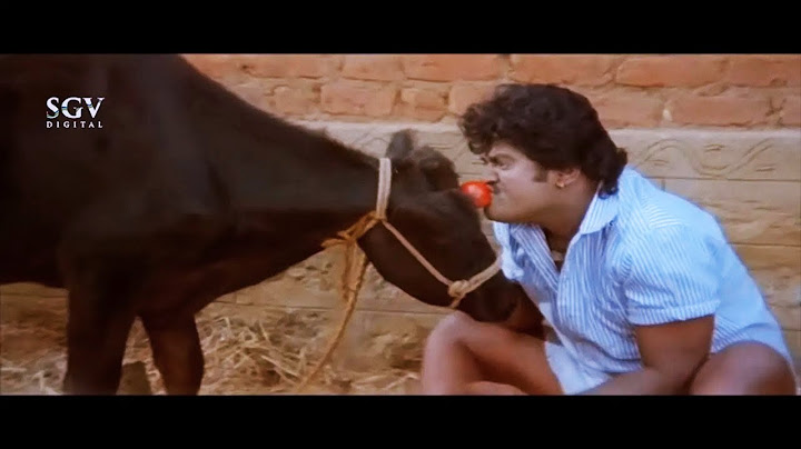 ಭೈರವ Kannada Old Movie Back To Back Super Comedy Scenes | Jaggesh, Nandini Singh, Doddanna