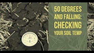 50 degrees and falling