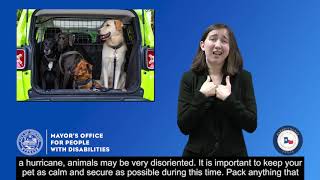 Pet Preparedness (English)