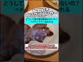 昭和好きインフルエンサーが男性専用車両がないことを疑問に思いフェミニストから総叩きにあう...【話題まとめずんだもん】