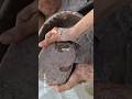cr,redqueenasmr soft sand cement asmr crumbling water crumbling asmr satisfying #crunchycrumbles