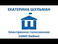 Екатерина Шульман  -  Электронное голосование (ШМС:Online) - 2021