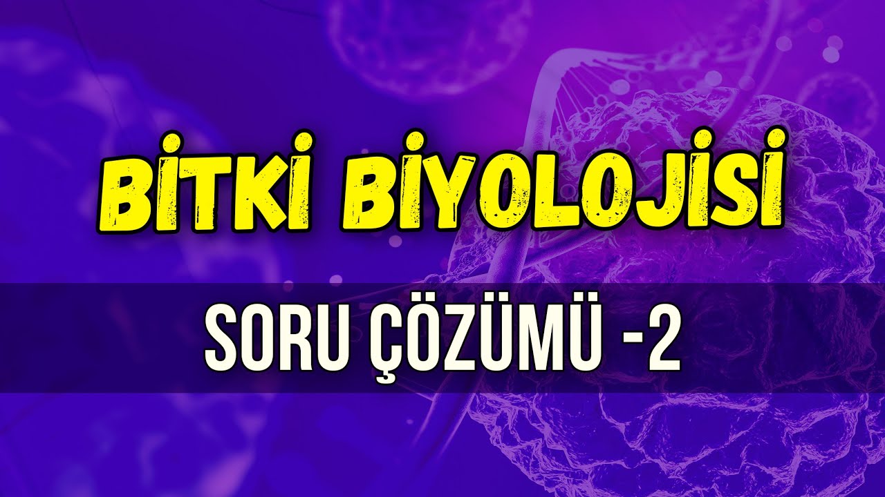 BİTKİ BİYOLOJİSİ SORU ÇÖZÜMÜ- 2 | Seda Hoca Biyoloji 🧬 