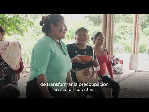 Historia de vida sobre manejo forestal sostenible en Ecuador