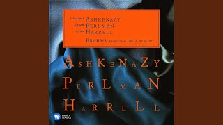 Piano Trio No. 1 in B Major, Op. 8: I. Allegro con brio