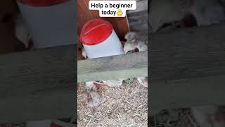 Whats YOUR best tip?
