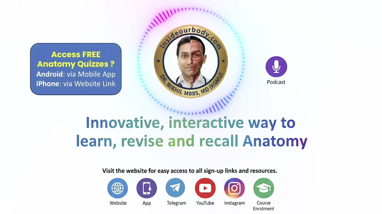 8.Bone and Cartilage (Audio Only) | Learn Anatomy While You Walk 🎧