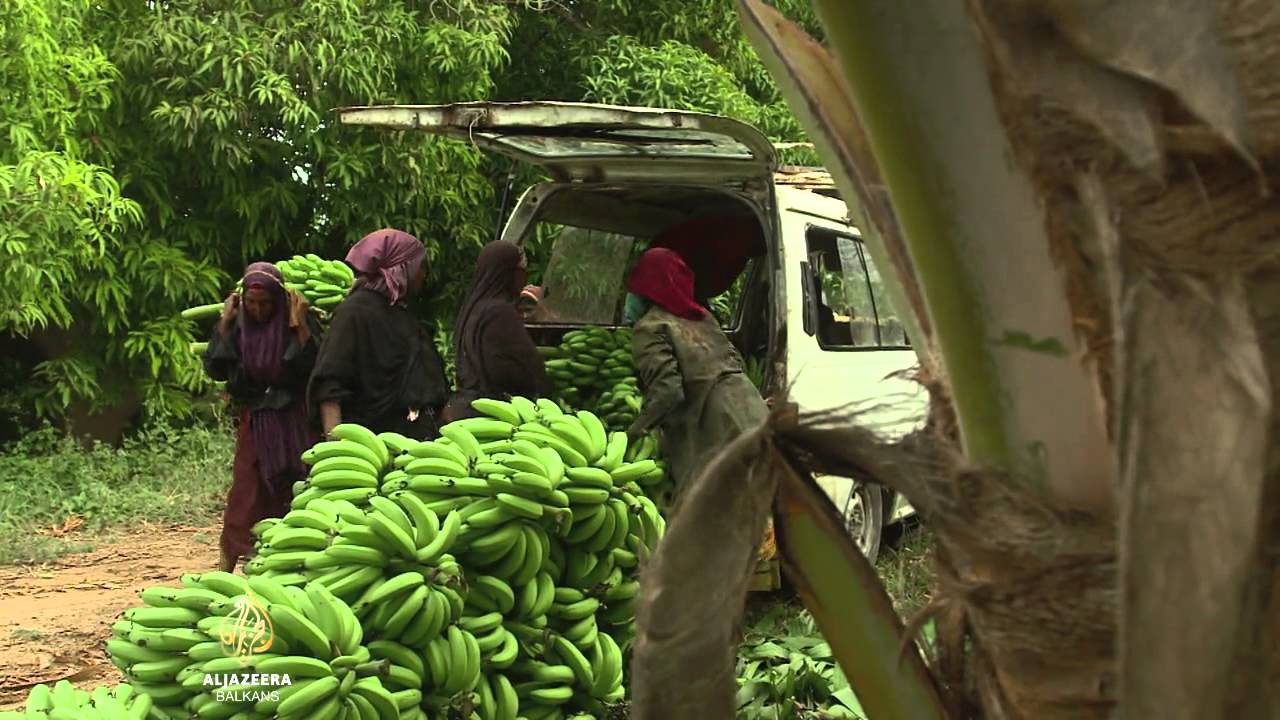 عالم الجزيرة - 02.08.2015.