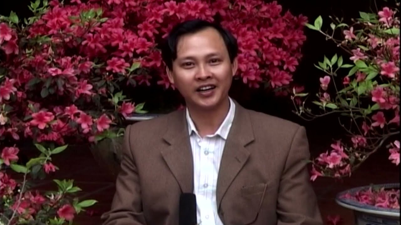 Vẻ đẹp của hoa đỗ quyên - youtube