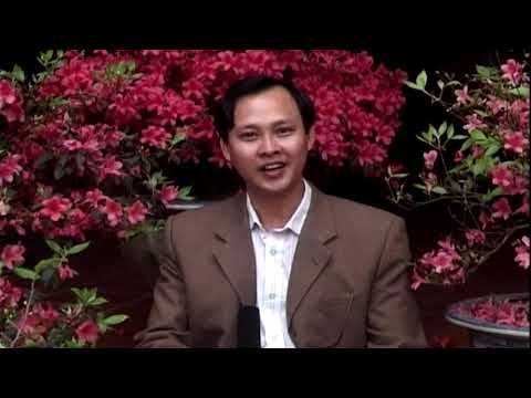 Video Vẻ đẹp của hoa đỗ quyên - youtube