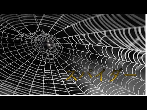 【弾き語り】Spitz/スパイダー(short.ver) Cover