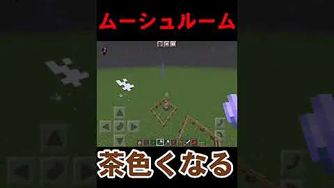 マイクラ雷