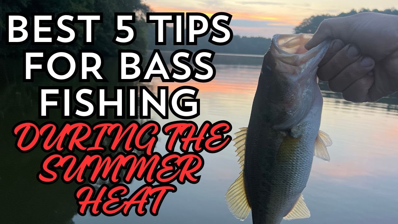 BEST 5 TIPS FOR BASS FISHING DURING THE SUMMER