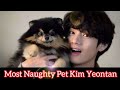 Most naughty pet kim yeontan 