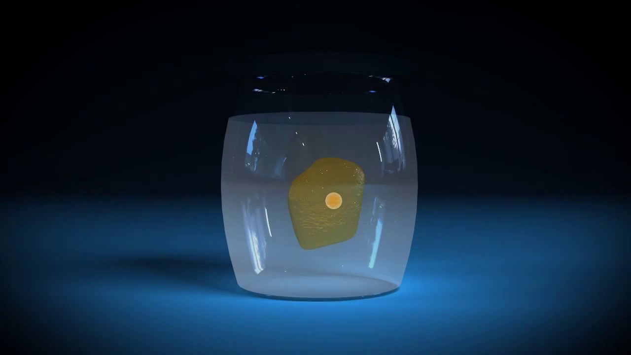 İdesa Biyoloji Dersi Eğitim Videosu Deplazmoliz