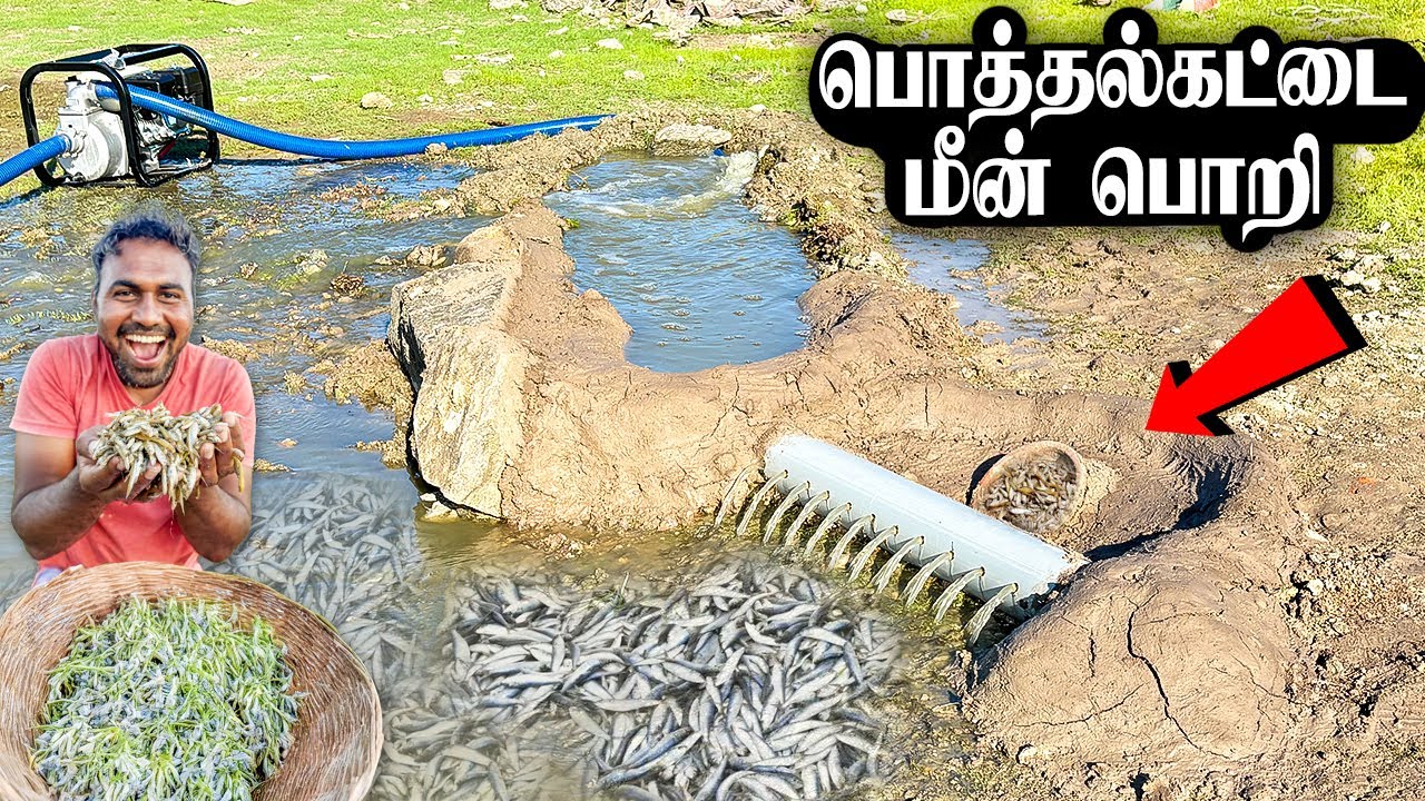 கஷ்டமே படாமல் கிலோ கணக்குல மீன் அள்ளலாம் | பொத்தல் கட்டை | Poththal Kattai Fish Trap | Mad Brothers