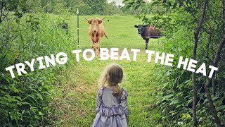 Trying to Beat the Heat | Early Morning Projects