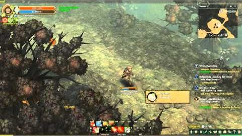 ToS Archer Damage Demonstration