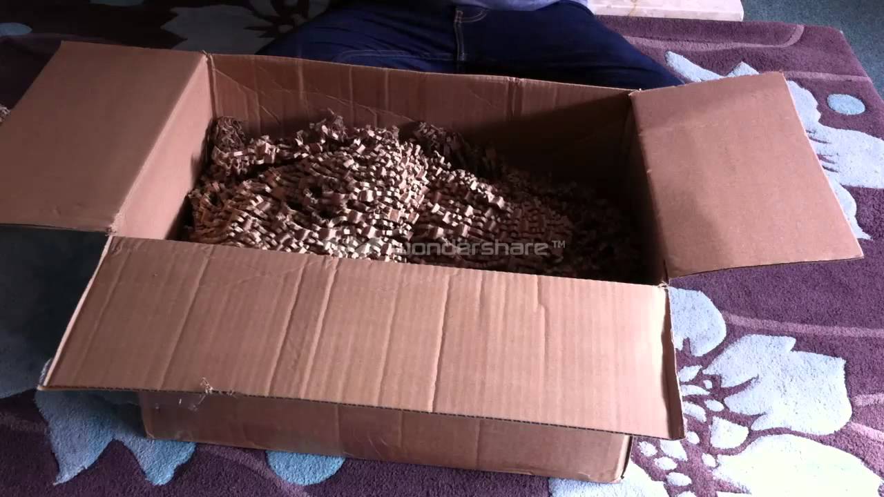 Swell reptiles unboxing - YouTube
