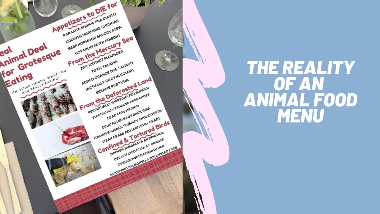 The Reality of An Animal Food Menu - YouTube