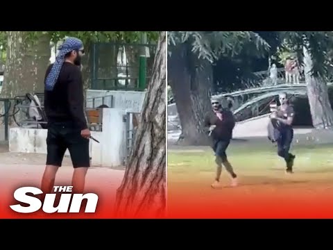Annecy stabbing: Knifeman stalks playground before civilians chase after him