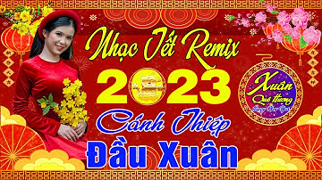 ✔️ CÁNH THIỆP ĐẦU XUÂN ➤ LK Nhạc Xuân Quê Hương 2023 Nhạc Tết Remix Hay Nhất CHÚC MỪNG NĂM MỚI 2023