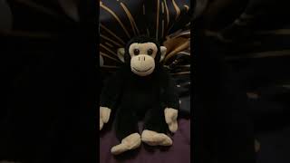 Wild Calls Chimpanzee Toy