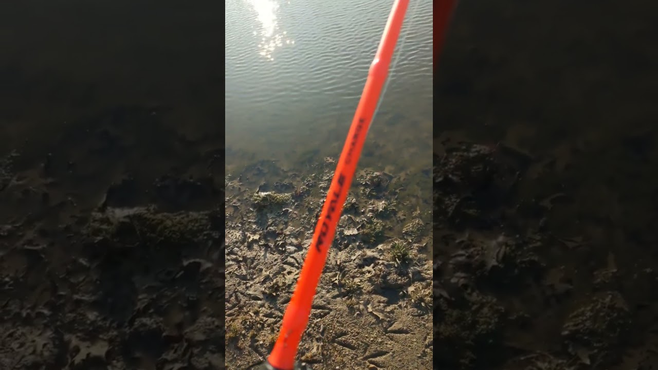 This is a nice reel. The speed demon from KastKing on a KastKing royale charge rod with 16lb braid.