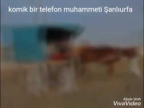 Şanlıurfa dan Suruç'luyu arıyan karaçı aynzeliha gevende telefon konuşması