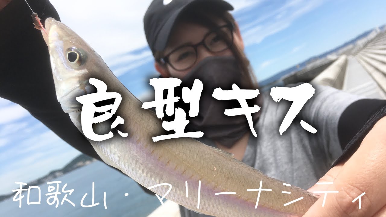 ちょい投げキス釣りで良型がヒット 和歌山マリーナシティ まりっぺフィッシング ちょい投げキス釣りで良型がヒット 和歌山マリーナシティ まりっぺフィッシング