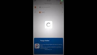 Pango Mobile Application Wallet Setup screenshot 5