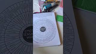 This is the Emotion Sensation Wheel