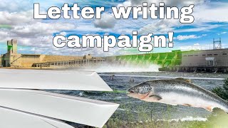 Want to Help Save Salmon Runs?