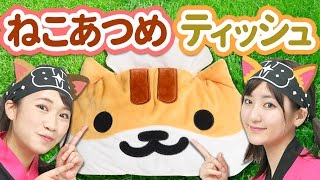 【クレーンゲーム】リアル「ねこあつめ」ティッシュケース実況。レア猫ゲットで まんぞくさん！【ボンボンTV】