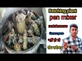 Mixar me Grease kyon nahin pass hota Hai | kya problem mein ho sakti hai | best 3 tarika Girish pass