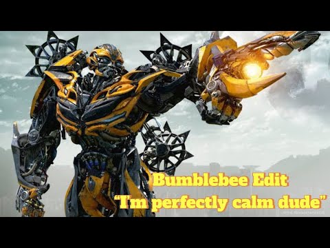 “I’m perfectly calm dude” | Bumblebee Edit - YouTube