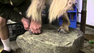 Testas Tuesday Tips Foot Setting The Last 2 Minuit s
The last part of foot setting as the camera cut off! Testas Tuesday Tips Foot Setting The Last 2 Minuit s