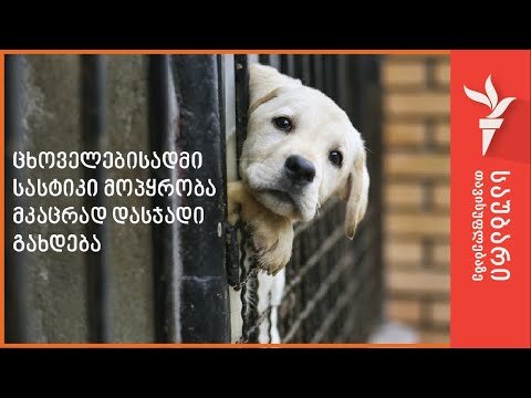 ცხოველებისადმი სასტიკი მოპყრობა მკაცრად დასჯადი გახდება