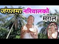 vlog मलेसियामा नरिवलको जंगल